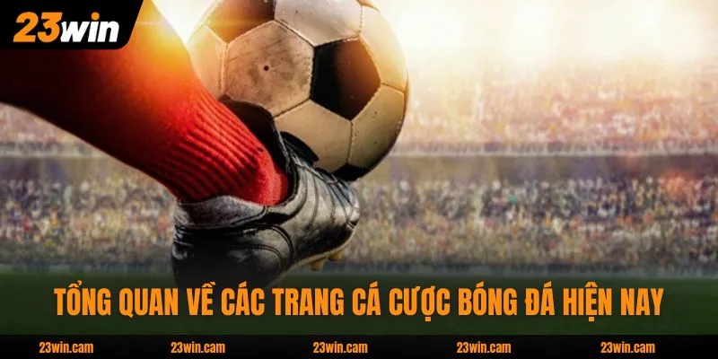 Trang Cá Cược Bóng Đá - Top 5 Địa Chỉ Xanh Chín Nhất 2026 2 Tổng quan về những trang cá cược bóng đá hiện nay