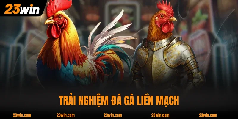 Chuyên Mục Đá Gà 23WIN - 80-100 Trận/Ngày, Phát Sóng HD 720p 3 Trải nghiệm đá gà liền mạch với thông tin chi tiết từng trận