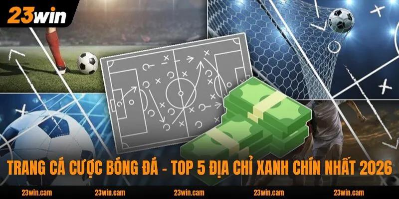 Trang Cá Cược Bóng Đá - Top 5 Địa Chỉ Xanh Chín Nhất 2026 1 Trang Cá Cược Bóng Đá - Top 5 Địa Chỉ Xanh Chín Nhất 2026