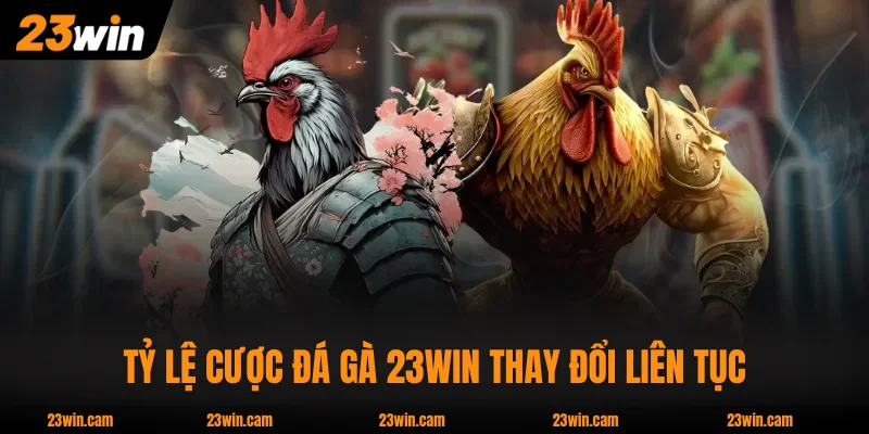 Chuyên Mục Đá Gà 23WIN - 80-100 Trận/Ngày, Phát Sóng HD 720p 2 Tỷ lệ cược Đá Gà 23WIN thay đổi liên tục theo dòng tiền