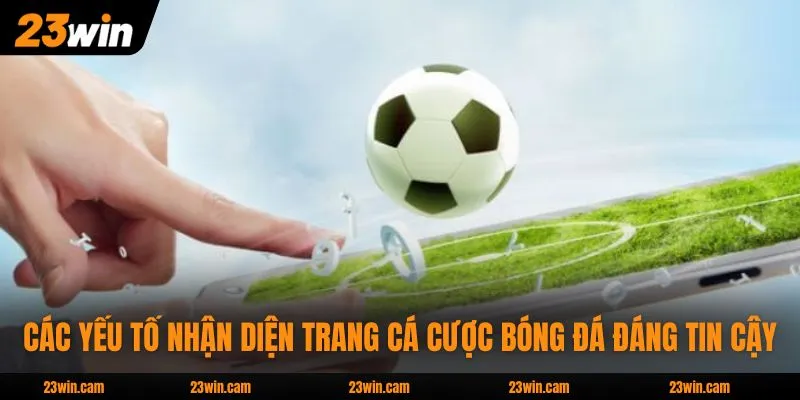 Trang Cá Cược Bóng Đá - Top 5 Địa Chỉ Xanh Chín Nhất 2026 3 Các yếu tố nhận diện trang cá cược bóng đá đáng tin cậy